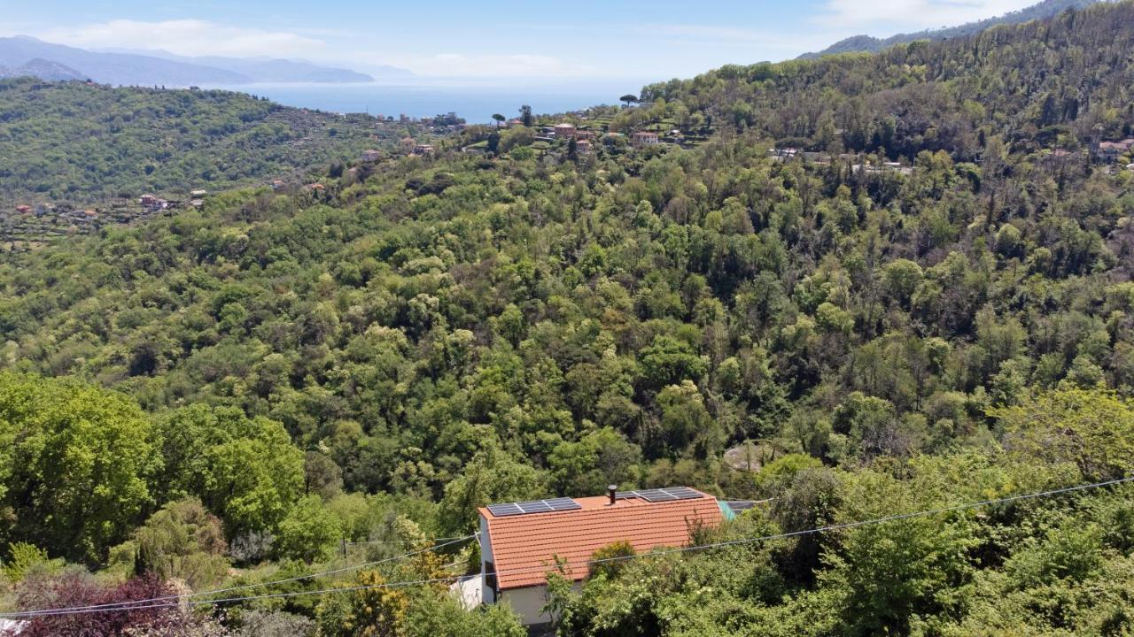 Ferienwohnung Monolocale Fattorialmare Viola Camogli Exterior foto