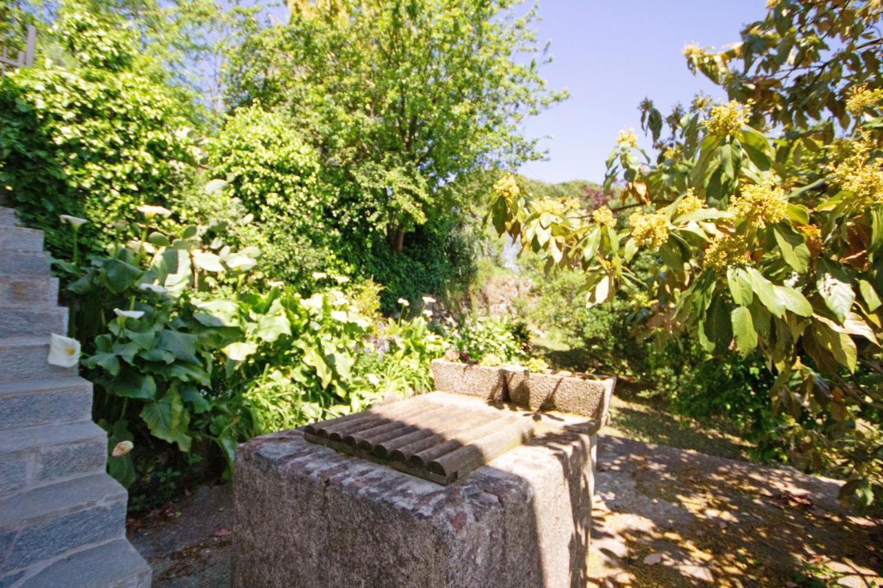 Ferienwohnung Monolocale Fattorialmare Viola Camogli Exterior foto